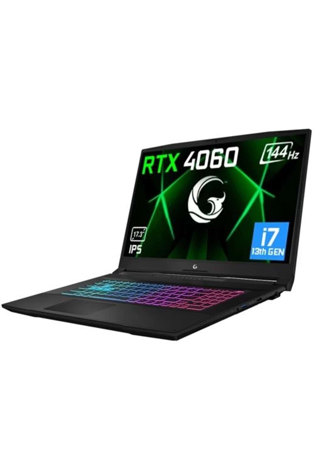GAMEGARAJ SLAYER3 7XL-4060 C1 i7-13700H 16GB 1TB RTX4060 17.3