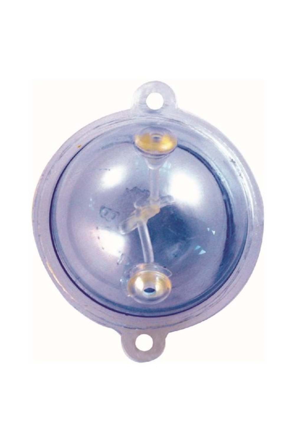 FRANSIZ BULDO ŞAMANDRA BÜYÜK