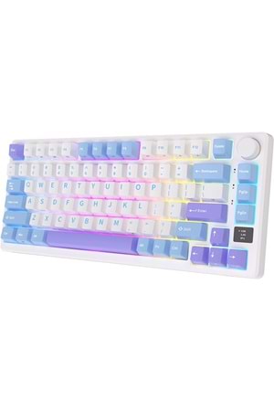 Klavye Royal Kludge M75 Taro Mılk Kablosuz Sılver Swıtch Us Layout