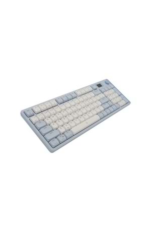 KLAVYE AIGO S99 RGB Mavi/Beyaz Mekanik RED Switch Kablosuz Us Layout