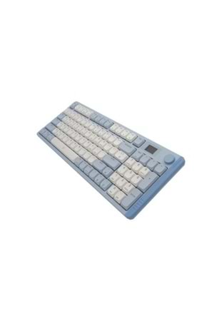 KLAVYE AIGO S99 RGB Mavi/Beyaz Mekanik RED Switch Kablosuz Us Layout