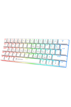 Klavye Gamepower Lyra Rgb 60m Mekanik Blue Switch Beyaz