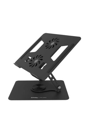 Frisby FNC-5165ST Siyah Katlanır Taşınabilir Notebook Standı