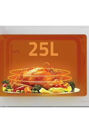 MWO2521/1 Newal Mikrodalga Retro 25L