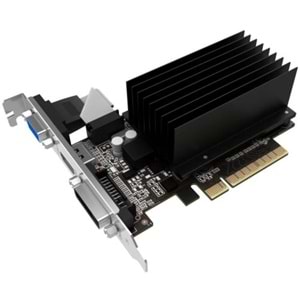 Ekran Kartı Palıt Gt730 2Gb 64Bit Ddr3 16X
