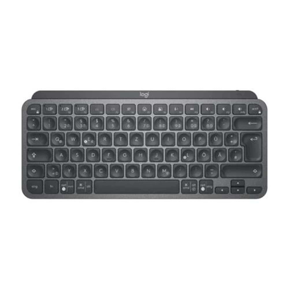 Klavye Logıtech Mx Mini Klavye Türkçe 920-010504 Tr Layout